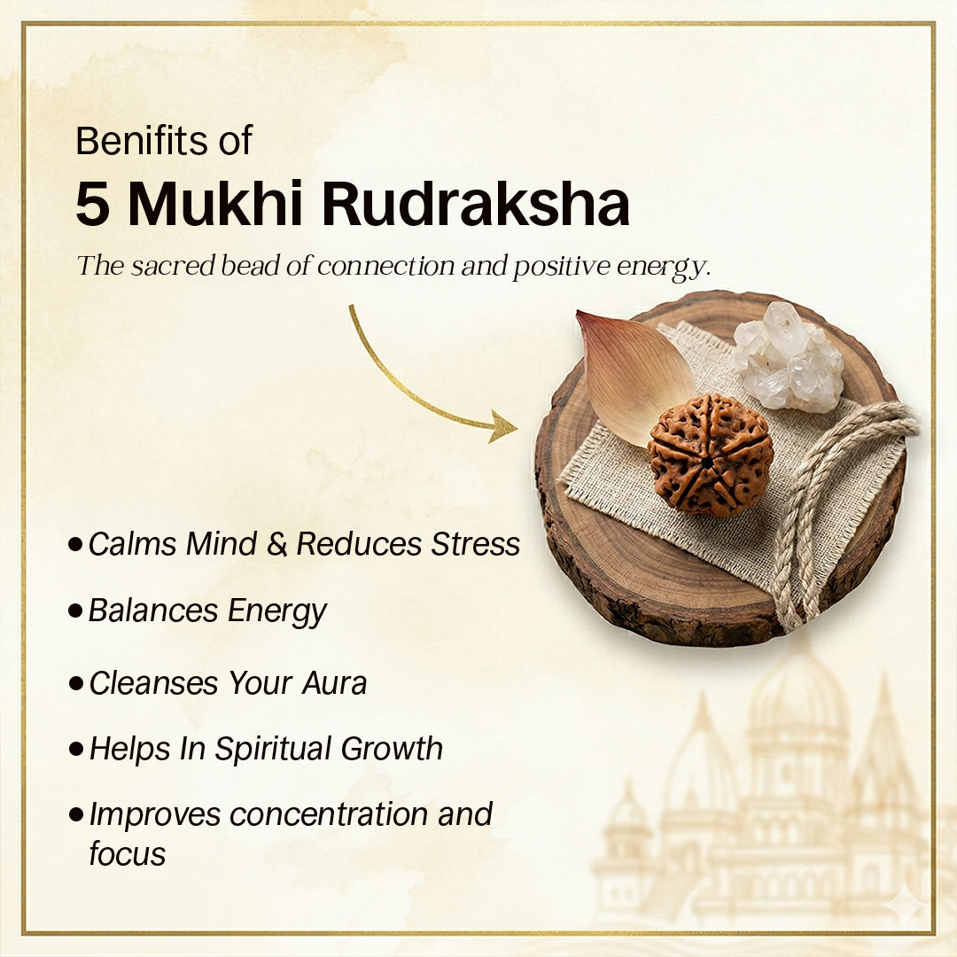 Shivom Natural Rudraksha Bracelet Set | Silver Plated