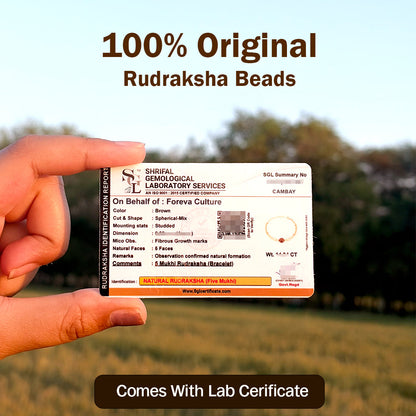 Rudrani Double-Layer Rudraksha Bracelet | Spiritual, Elegant & Protective
