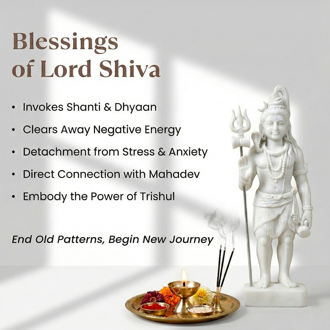 Shivom Natural Rudraksha Bracelet Set | Silver Plated