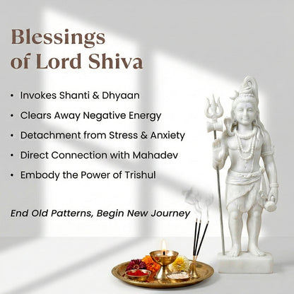 Shivom Natural Rudraksha Bracelet Set | Silver Plated